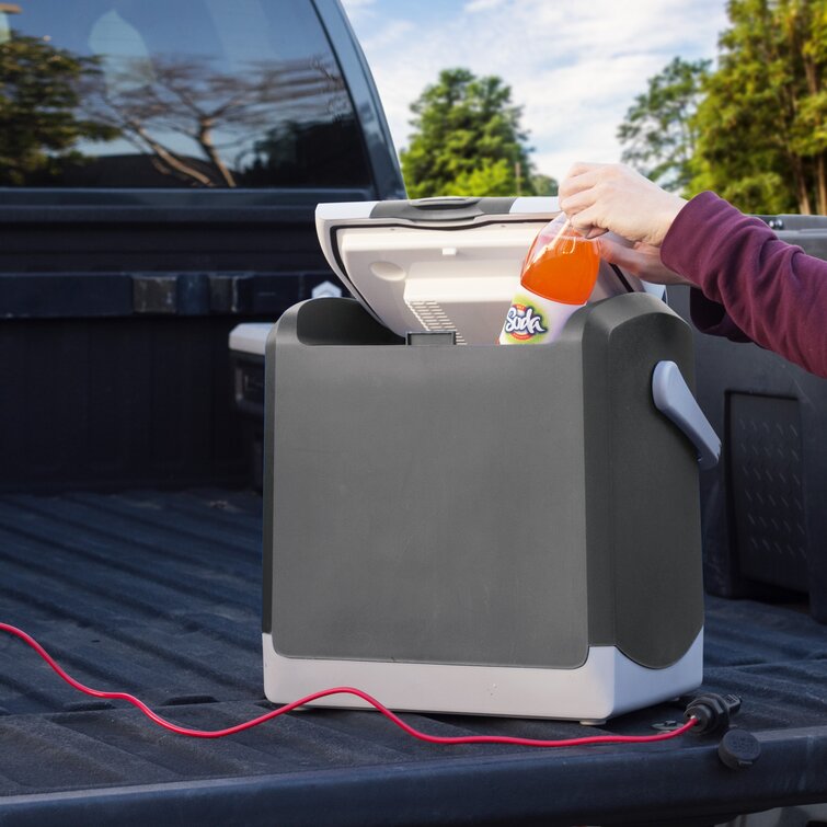 Smart sales cooler box